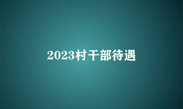 2023村干部待遇