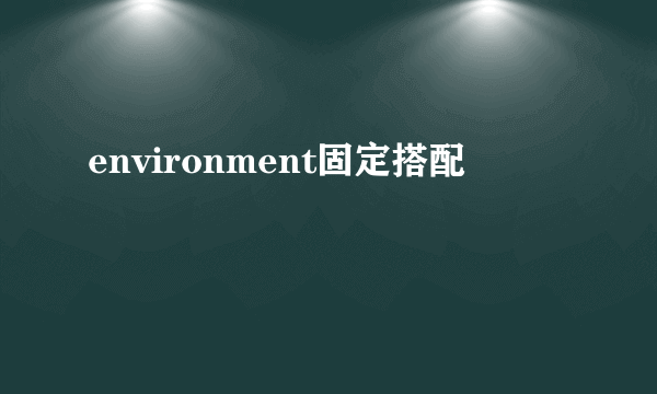 environment固定搭配