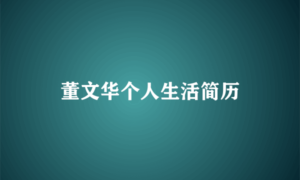 董文华个人生活简历