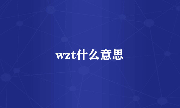 wzt什么意思