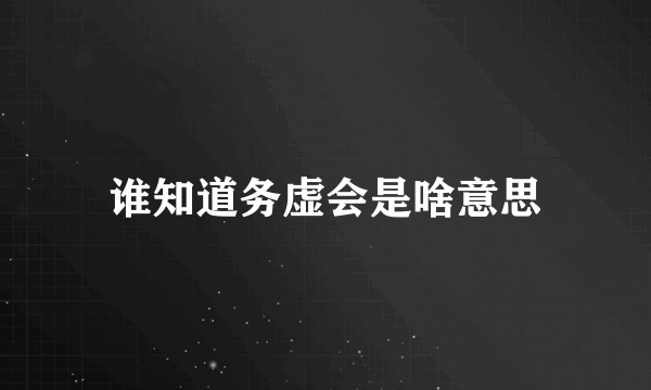 谁知道务虚会是啥意思