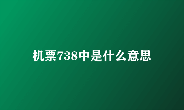 机票738中是什么意思