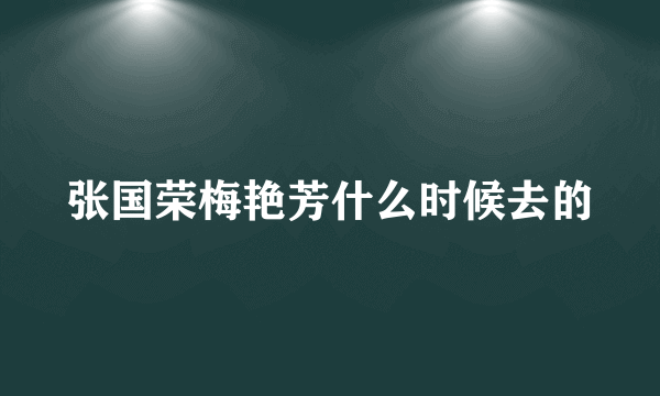 张国荣梅艳芳什么时候去的