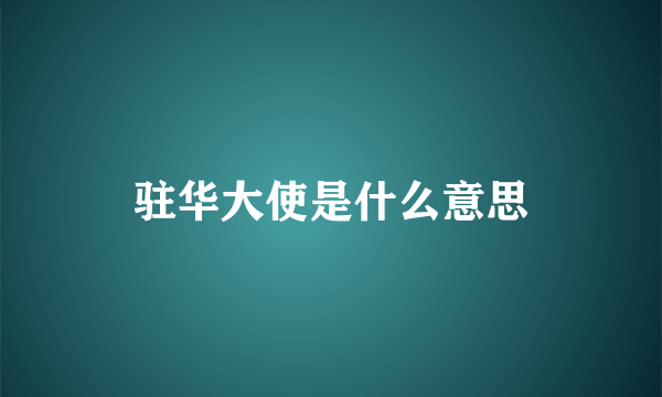 驻华大使是什么意思