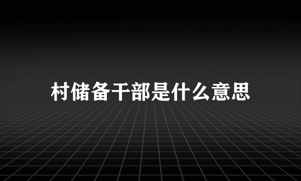 村储备干部是什么意思