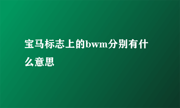 宝马标志上的bwm分别有什么意思