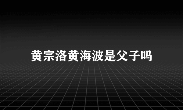 黄宗洛黄海波是父子吗