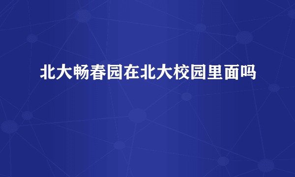 北大畅春园在北大校园里面吗