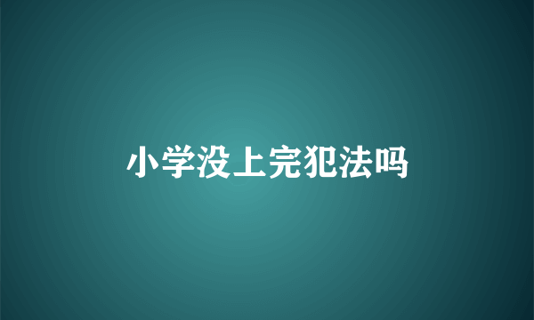 小学没上完犯法吗