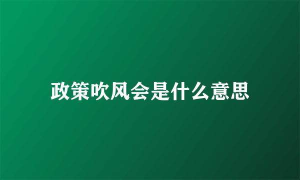 政策吹风会是什么意思