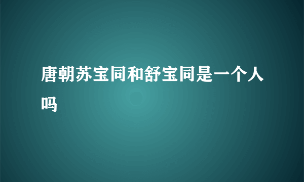 唐朝苏宝同和舒宝同是一个人吗