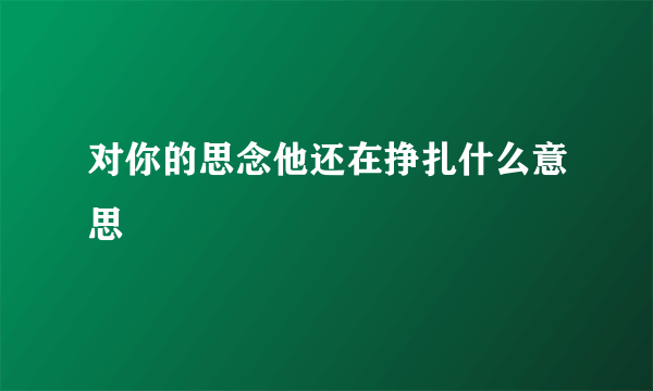 对你的思念他还在挣扎什么意思