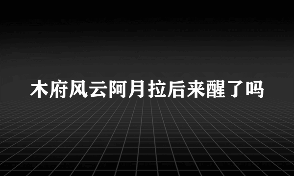 木府风云阿月拉后来醒了吗