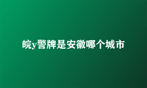 皖y警牌是安徽哪个城市