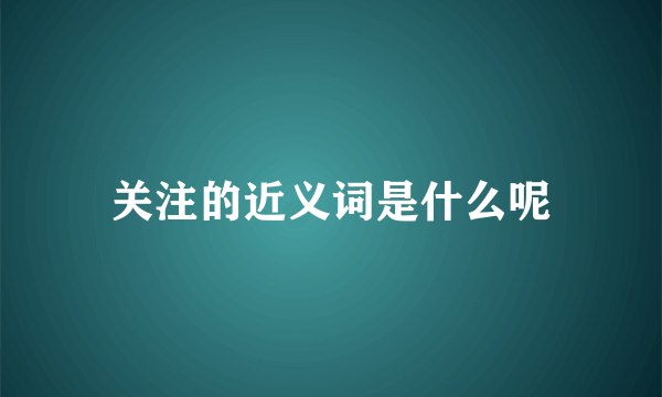 关注的近义词是什么呢