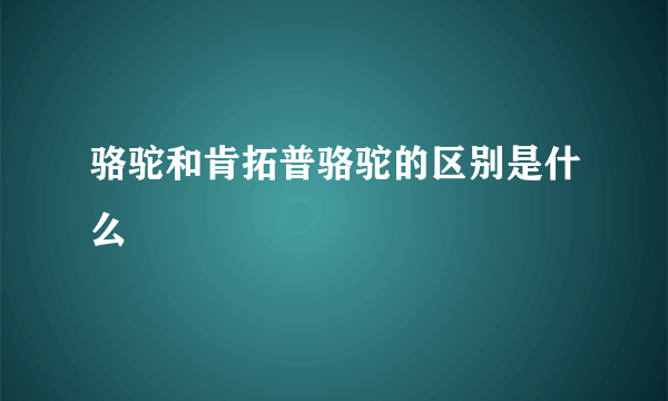 骆驼和肯拓普骆驼的区别是什么