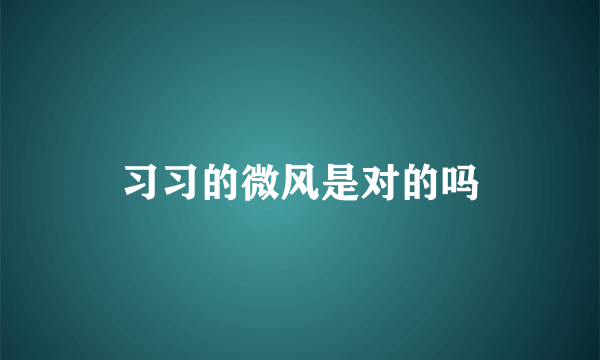 习习的微风是对的吗