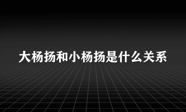 大杨扬和小杨扬是什么关系