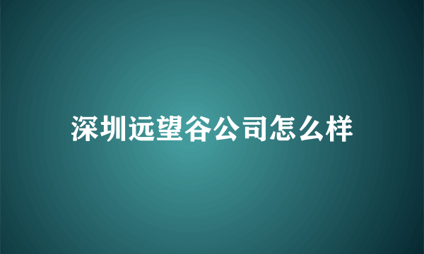 深圳远望谷公司怎么样