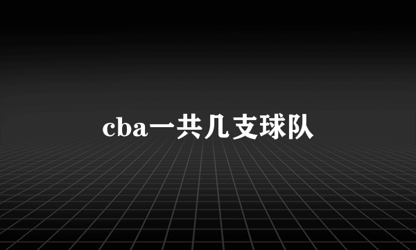 cba一共几支球队