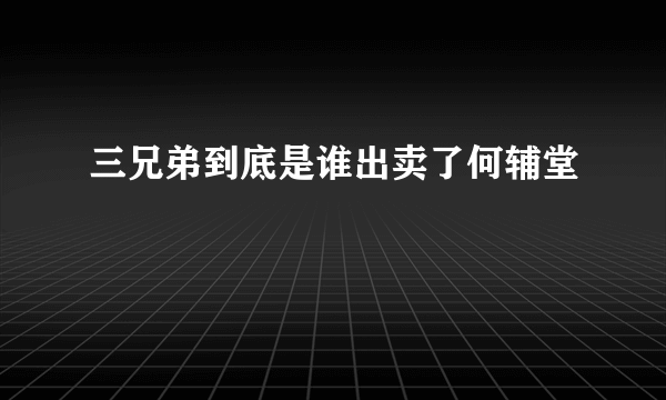 三兄弟到底是谁出卖了何辅堂