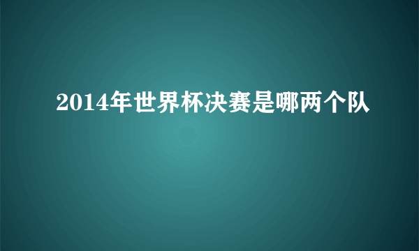 2014年世界杯决赛是哪两个队