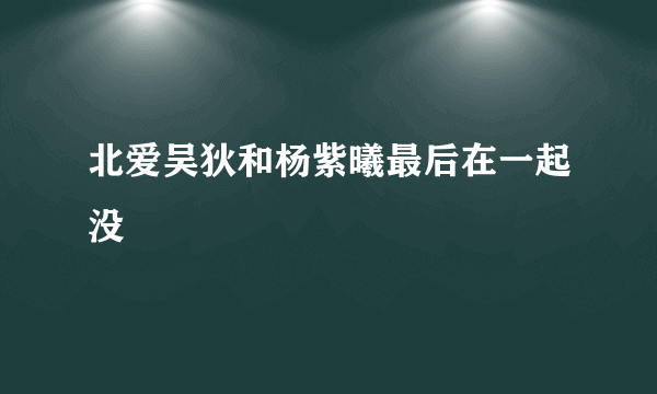 北爱吴狄和杨紫曦最后在一起没