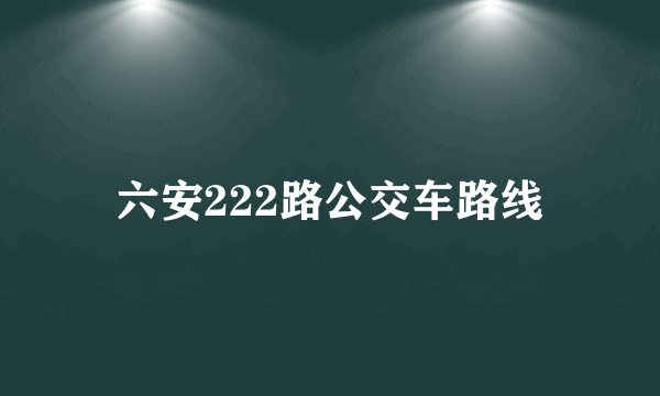 六安222路公交车路线