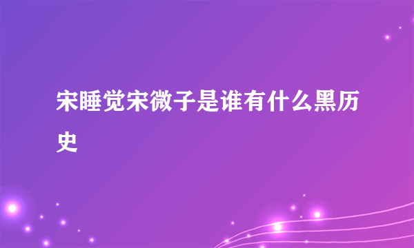 宋睡觉宋微子是谁有什么黑历史