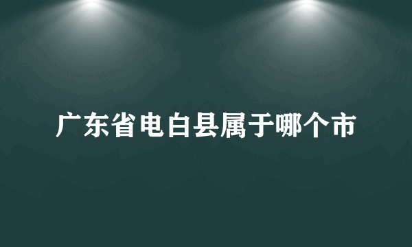 广东省电白县属于哪个市