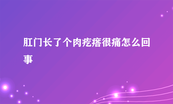 肛门长了个肉疙瘩很痛怎么回事