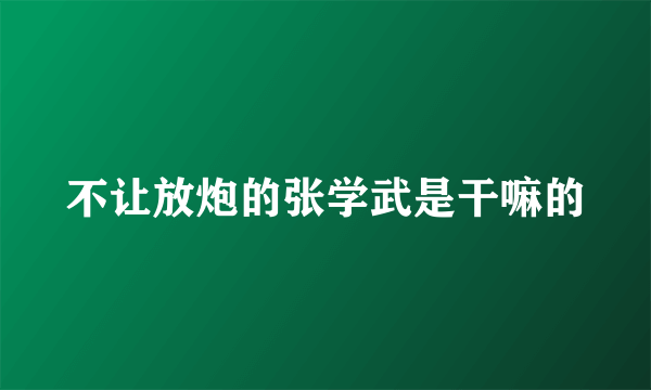 不让放炮的张学武是干嘛的