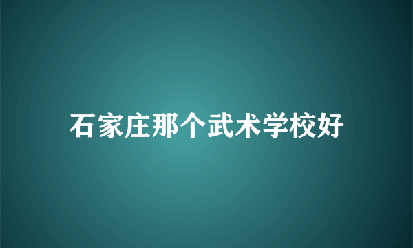 石家庄那个武术学校好