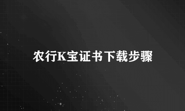 农行K宝证书下载步骤