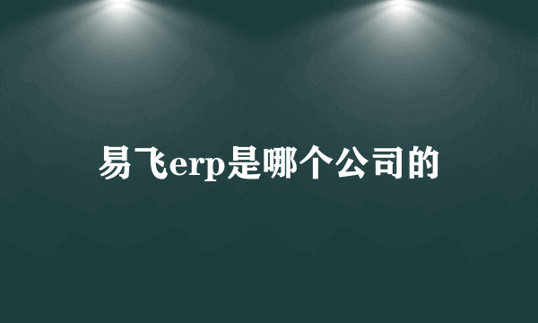 易飞erp是哪个公司的