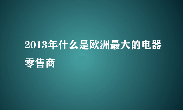 2013年什么是欧洲最大的电器零售商