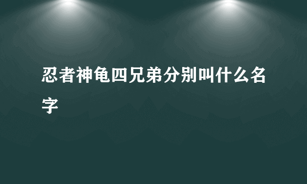 忍者神龟四兄弟分别叫什么名字