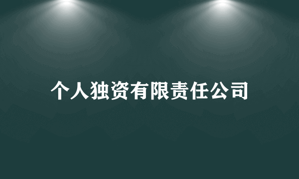 个人独资有限责任公司