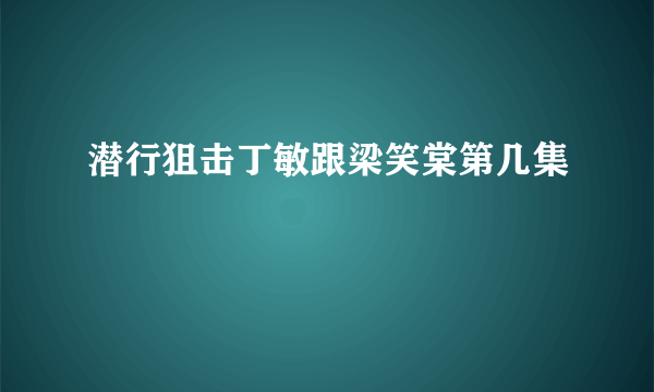 潜行狙击丁敏跟梁笑棠第几集