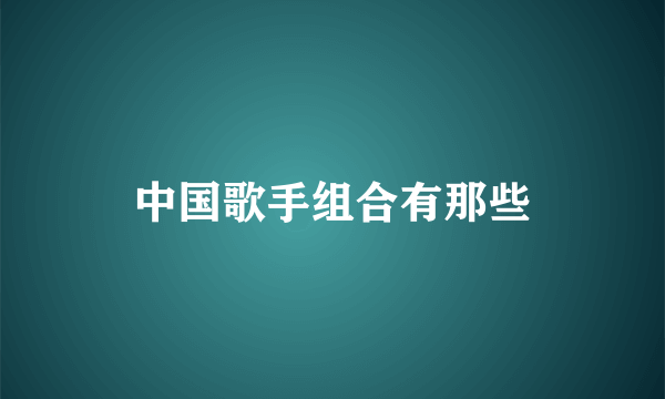 中国歌手组合有那些