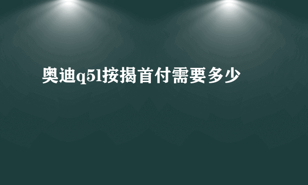 奥迪q5l按揭首付需要多少