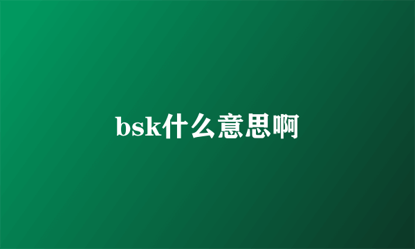 bsk什么意思啊