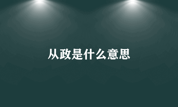 从政是什么意思