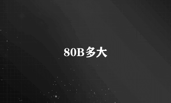 80B多大