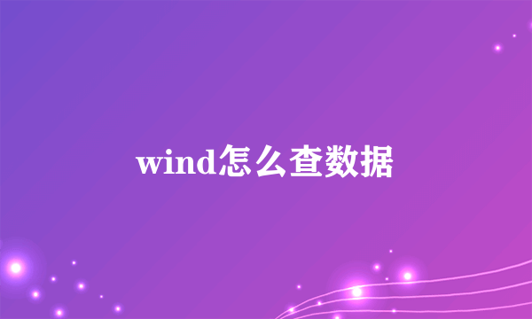 wind怎么查数据