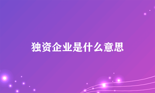 独资企业是什么意思