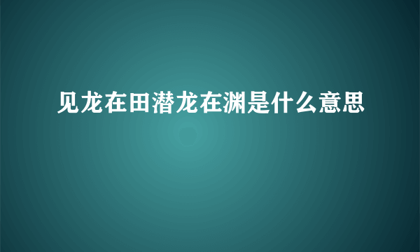 见龙在田潜龙在渊是什么意思