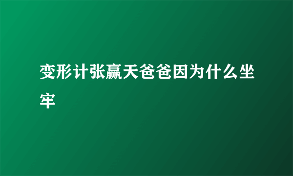 变形计张赢天爸爸因为什么坐牢