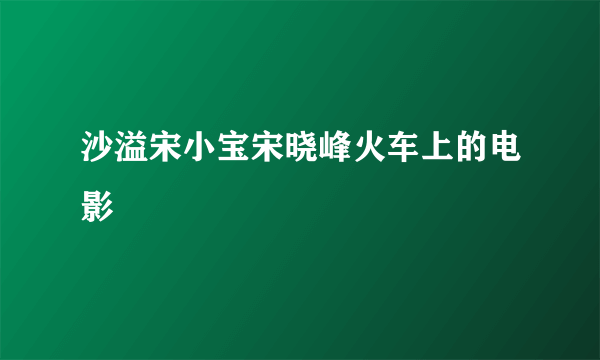 沙溢宋小宝宋晓峰火车上的电影