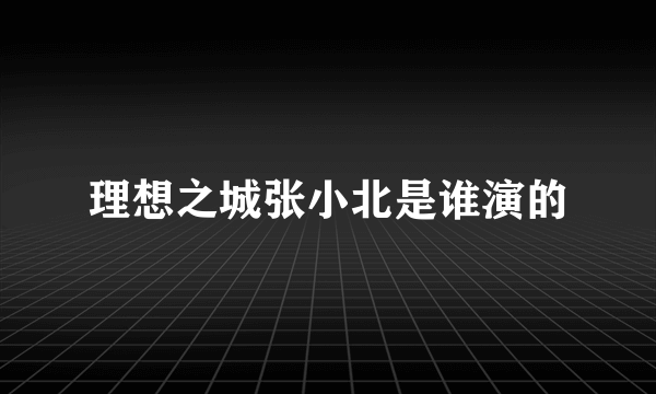 理想之城张小北是谁演的